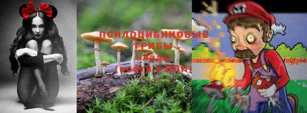 скорость Горно-Алтайск